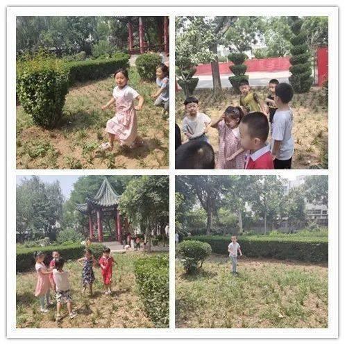 密密花园在线观看,在线观看，揭秘神秘花园的奇幻之旅  第2张